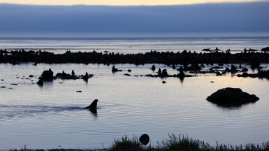 Фото: Витюгова Женя, wikimedia.org