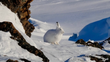 Фото: Isaac Demeester, unsplash.com