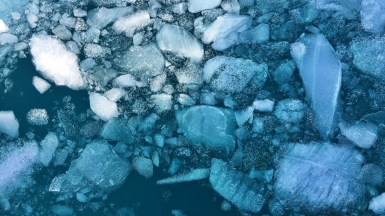 Фото: Cassie Matias, unsplash.com