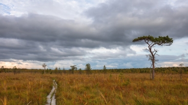 Фото нашего гида Михаила Верёвченко