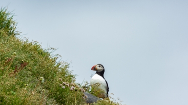 Фото нашего Странника Дмитрия Кочерыгина