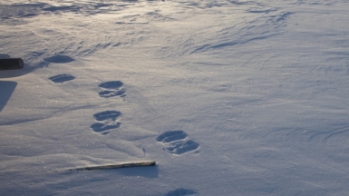 Фото Николая Кузнецова