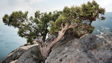 Фото: pixabay.com