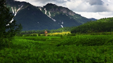 Фото: Степанов Илья