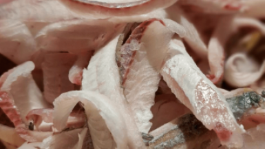 Фото из архива Клуба