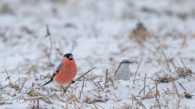 Фото гида Михаила Верёвченко