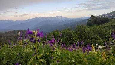 Фото нашей Странницы Натальи Киселевой