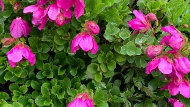 Фото наших Странников