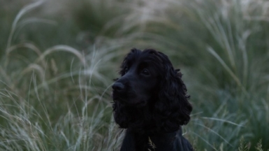 Фото нашего гида Михаила Верёвченко