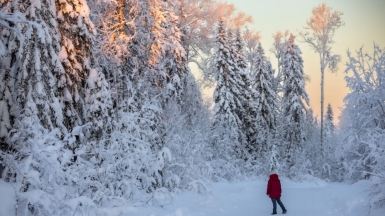 Фото нашего гида Михаила Верёвченко