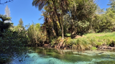 Фото: JustGoThere.NZ