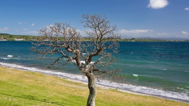 Озеро Таупо. Фото нашей Странницы Татьяны Руновой