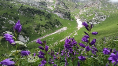 Фото нашего гида Елены Кузура