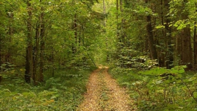 Фото наших Странников