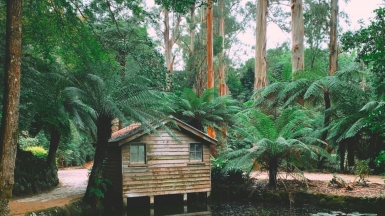 Фото: Darcy Ireland, unsplash.com