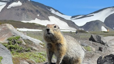 Фото нашей Странницы Анастасии Дербиной