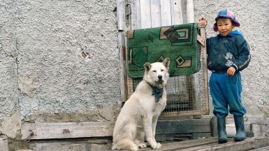 Фото: coniferconifer on visualhunt