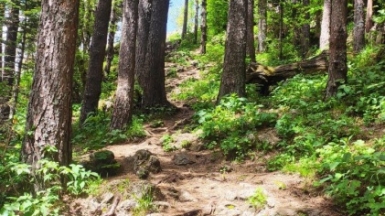 Фото нашего гида Елены Кузура