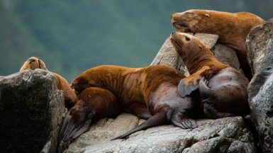 Фото из архива Клуба