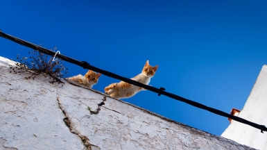 Фото: OliBac, visualhunt.com