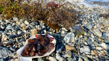 Фото из архива Клуба