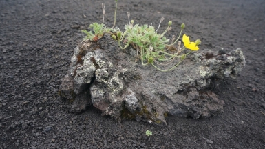 Фото нашего Странника Александра Панченко