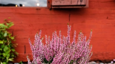 Автор: sara casanova, источник: unsplash