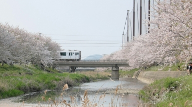 Фото: Akihiko Sayo on unsplash