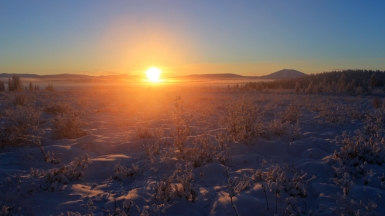 Фото: Михаил Местников