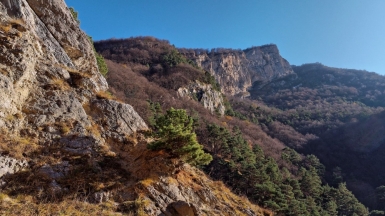 Фото: Alexxx1979 on Visualhunt.com 