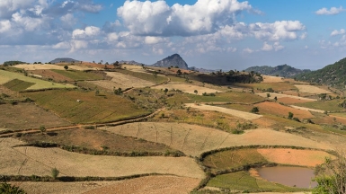 Фото Александра Рыбакова