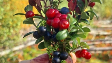 Фото нашей Странницы Марины Шевелевой