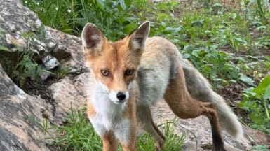 Фото гида Марины Акиловой-Елиной