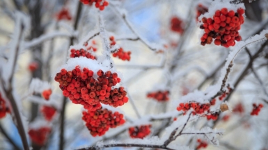 Фото: Alexey Elfimov, unsplash