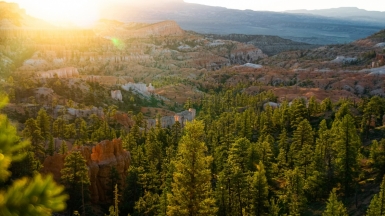 Фото: Jaden Robles, unsplash.com