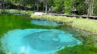 Фото нашей Странницы Ольги Сидоренко