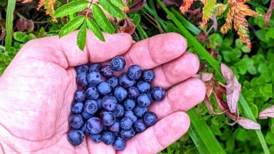 Фото наших Странников