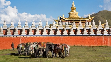 Автор: utpala ॐ, источник: visualhunt