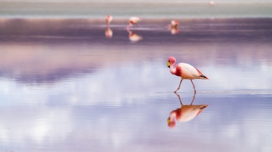 Фото: Elizabeth Gottwald, unsplash.com