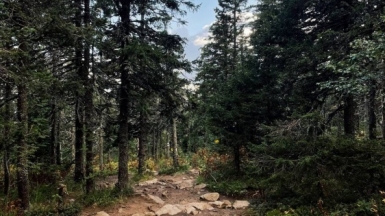 Фото гида Марины Акиловой-Елиной