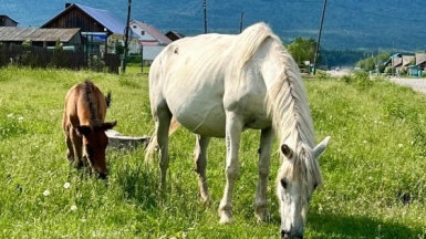 Фото наших Странников