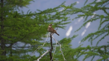 Фото из архива Клуба