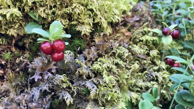 Фото наших Странников