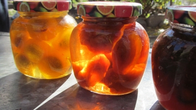 Фото нашего гида Ирины Пряничниковой