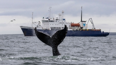 Фото из архива Клуба