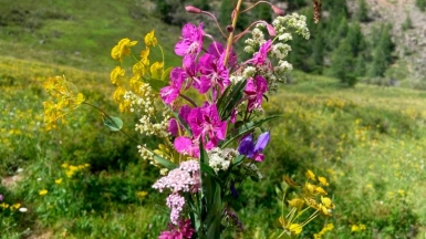 Фото наших Странников