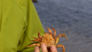 Фото из архива Клуба