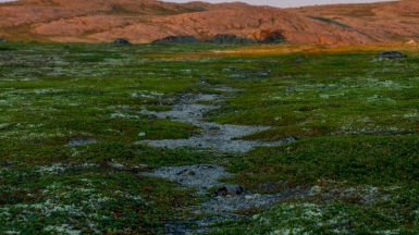 Фото: Jayde Keroi unsplash