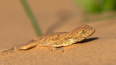 Фото нашего гида Михаила Верёвченко