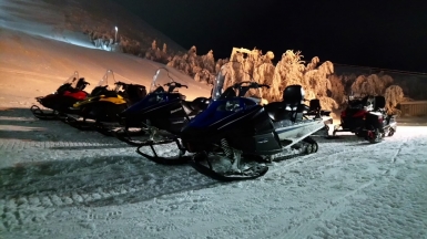 Фото: Татьяна Мамоненкова 